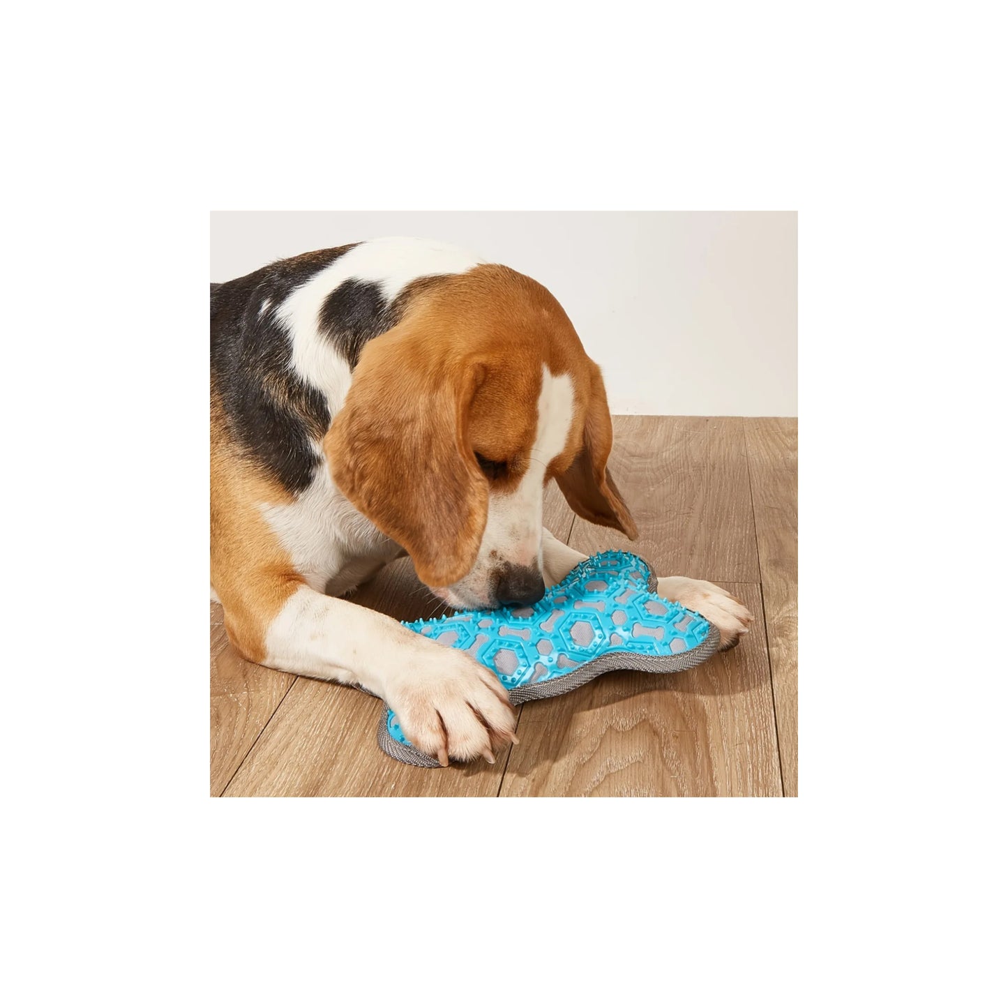 Dog Chew Bone
